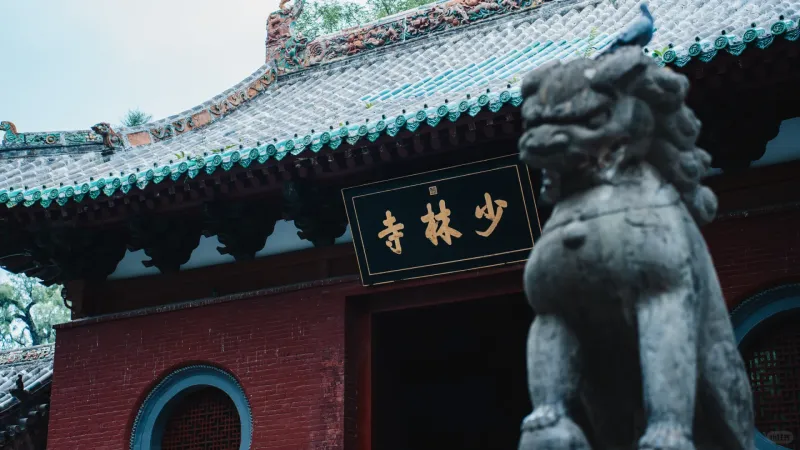 Pagoda forest and surrounding views near Shaolin Temple